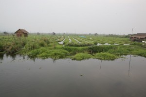 Birma - Inle Lake (143)