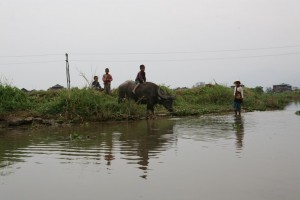 Birma - Inle Lake (303)