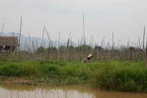 Birma - Inle Lake (387)