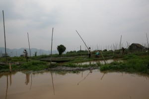 Birma - Inle Lake (391)