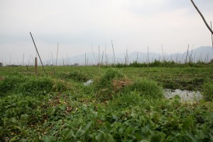 Birma - Inle Lake (412)