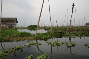 Birma - Inle Lake (422)