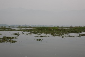 Birma - Inle Lake (79)