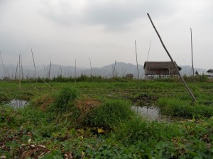 Birma - Inle Lake - Heho (239)