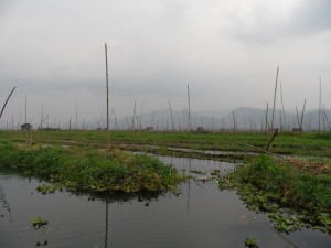 Birma - Inle Lake - Heho (240)