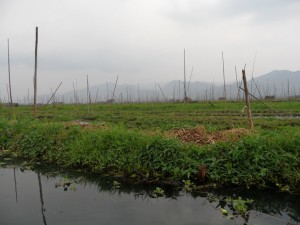 Birma - Inle Lake - Heho (241)