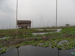 Birma - Inle Lake - Heho (245)