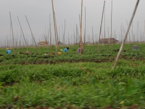 Birma - Inle Lake - Heho (247)