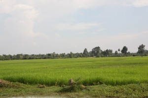 Kambodża - Siem Reap (24)