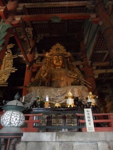 Nara Japonia (113)