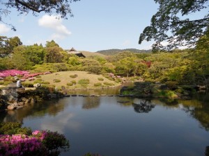 Nara Japonia (135)