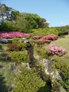 Nara Japonia (143)