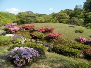 Nara Japonia (144)