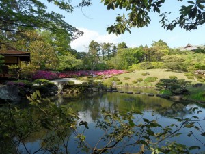 Nara Japonia (158)