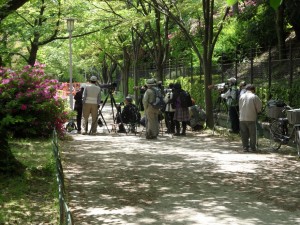 Osaka - Japonia (71)