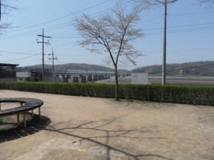 South Korea DMZ (173)