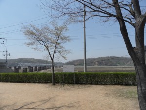 South Korea DMZ (174)