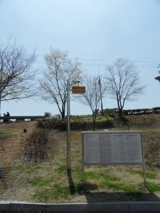 South Korea DMZ (183)
