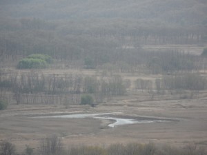 South Korea DMZ (221)