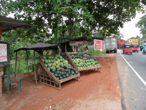 Sri Lanka - Kandy (127)